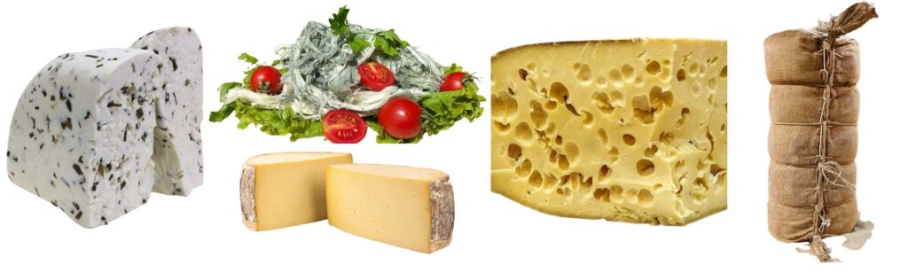 cheese turkiye village products